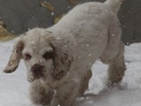04-10-2019 (22)
