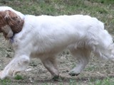 2019-07-14 mazey