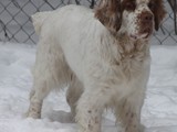 2019-12-01 mazey (2)