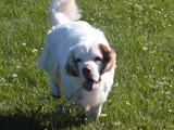 2021-08-15 Sully (1)