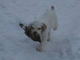 IMG_8715