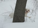 IMG_9860